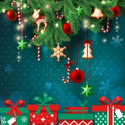 Peptides wünscht Ihnen frohe Weihnachten und einen guten Rutsch ins neue Jahr!
