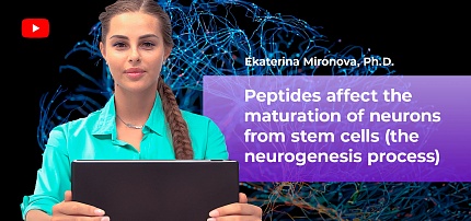 Scientific lecture "The neurogenesis process"